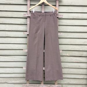 Express Work Pants